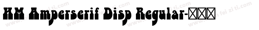HM Amperserif Disp Regular字体转换